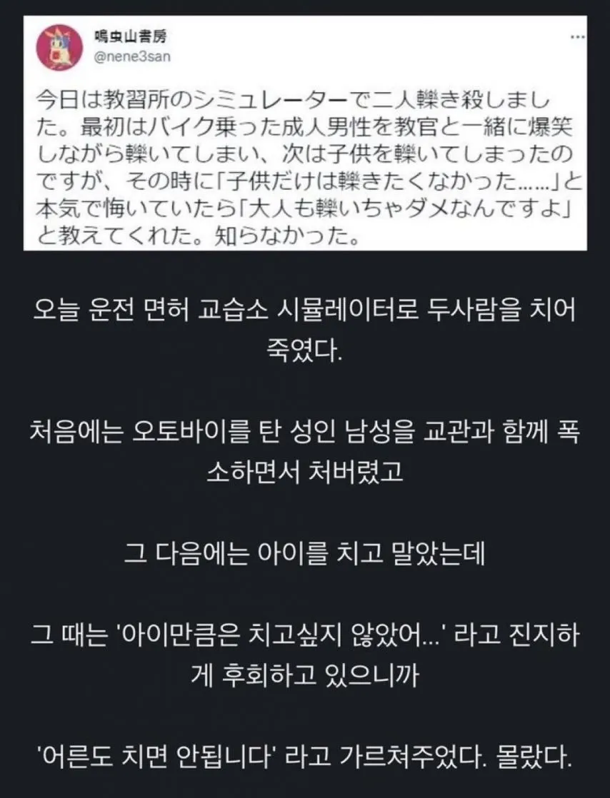아이만큼은 치고싶지 않았다는 운전자_1.webp