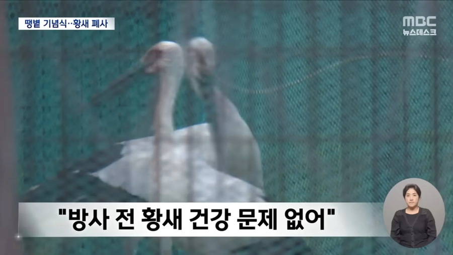 한국식 보여주기 문화의 폐해.jpg_4.webp