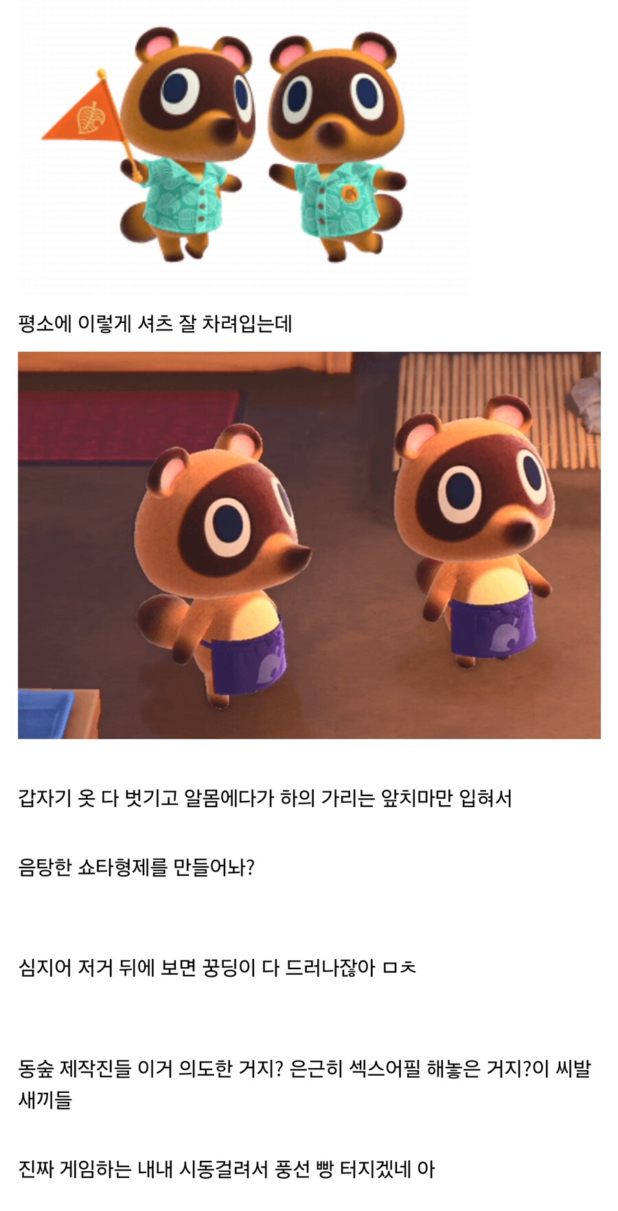 닌텐도 동숲 제작진들 ㅁㅊㅅㄲ들 아님?? _1.jpg