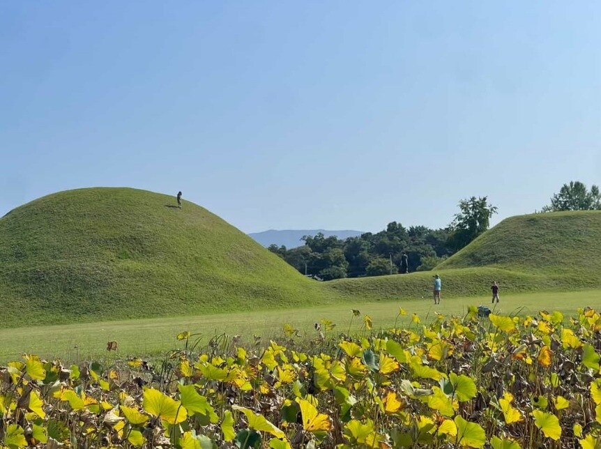 경주 대릉에 올라 간 애를 좋다고 찍는 부모놈_1.jpg