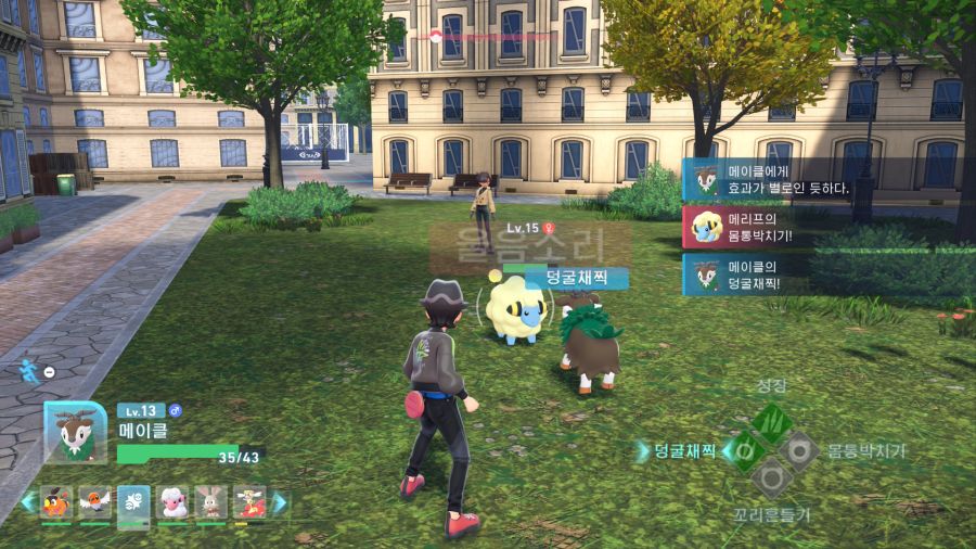 포켓몬 ZA 부정적인 반응도 많은게 조금 의외네요._3.jpg