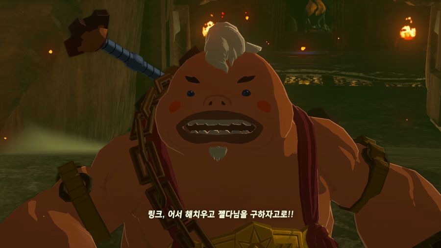 젤다의 전설 티어즈 오브 더 킹덤_14.png