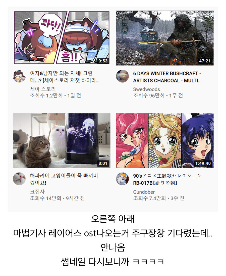 유튜브로 마법기사 레이어스 노래 들으려고 한 사람_1.jpg