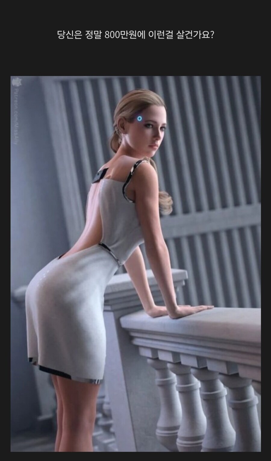 당신은 800만원에 사시겠습니까?_1.jpg