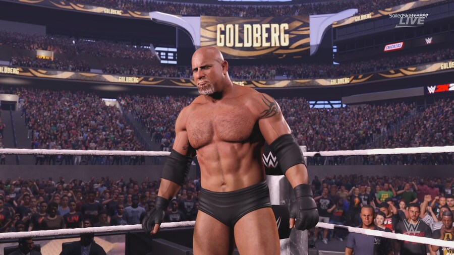 WWE 2K25 BROCK LESNAR VS. GOLDBERG_16.png
