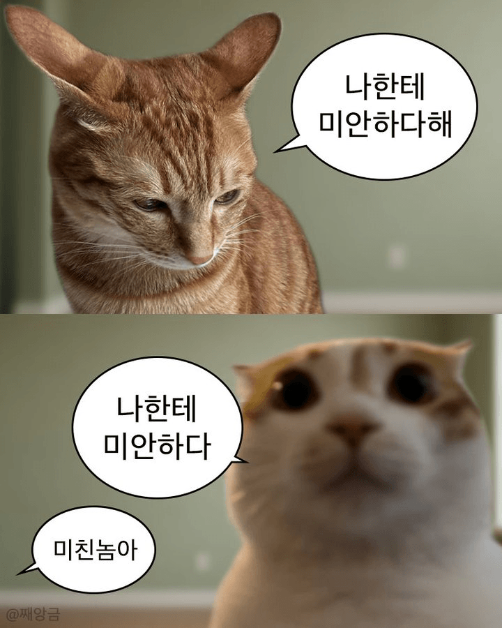 나한테 미안하다고 사과해!_1.webp