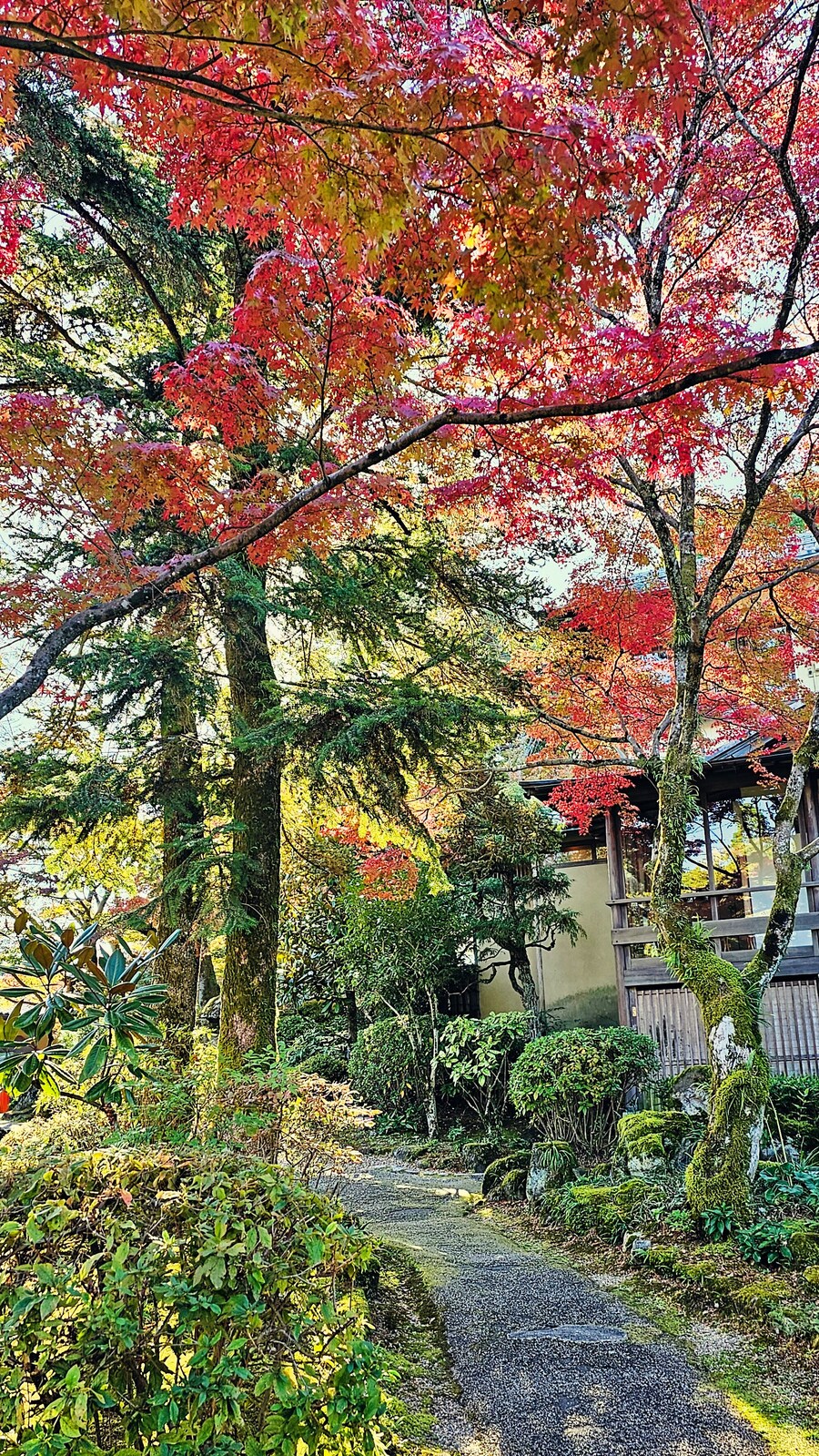 [스압초주의] " 간사이 오사카, 고베, 교토, 나라 여행 일기... "_159.jpg