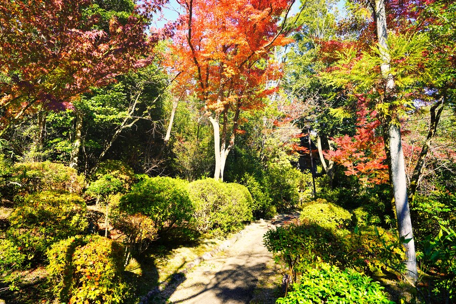 [스압초주의] " 간사이 오사카, 고베, 교토, 나라 여행 일기... "_165.jpg