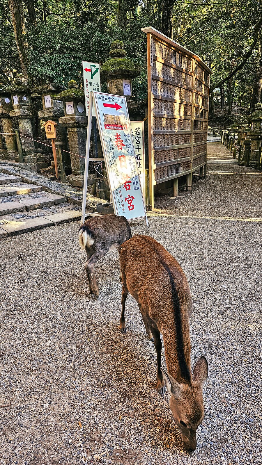 [스압초주의] " 간사이 오사카, 고베, 교토, 나라 여행 일기... "_182.jpg