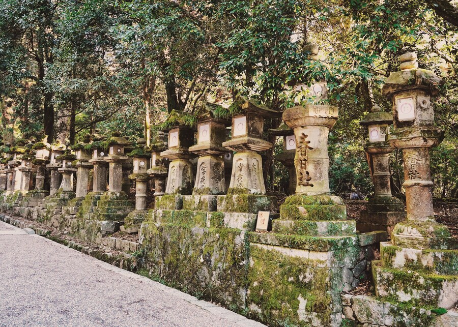 [스압초주의] " 간사이 오사카, 고베, 교토, 나라 여행 일기... "_197.jpg