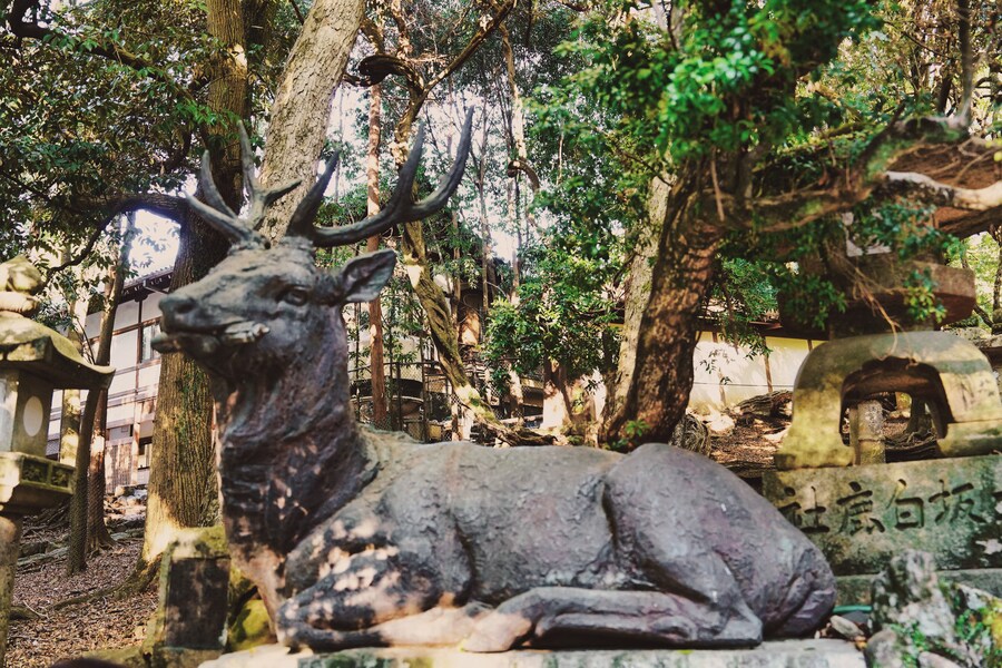 [스압초주의] " 간사이 오사카, 고베, 교토, 나라 여행 일기... "_198.jpg