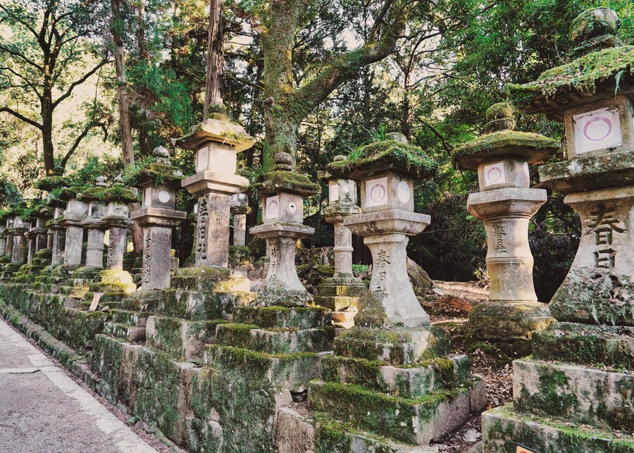 [스압초주의] " 간사이 오사카, 고베, 교토, 나라 여행 일기... "_202.jpg