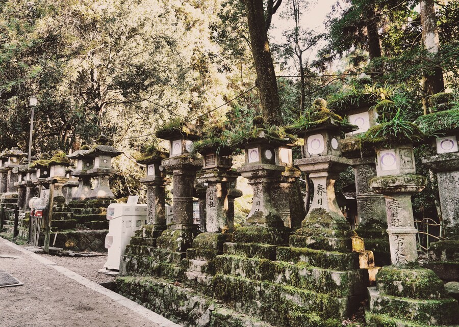 [스압초주의] " 간사이 오사카, 고베, 교토, 나라 여행 일기... "_206.jpg