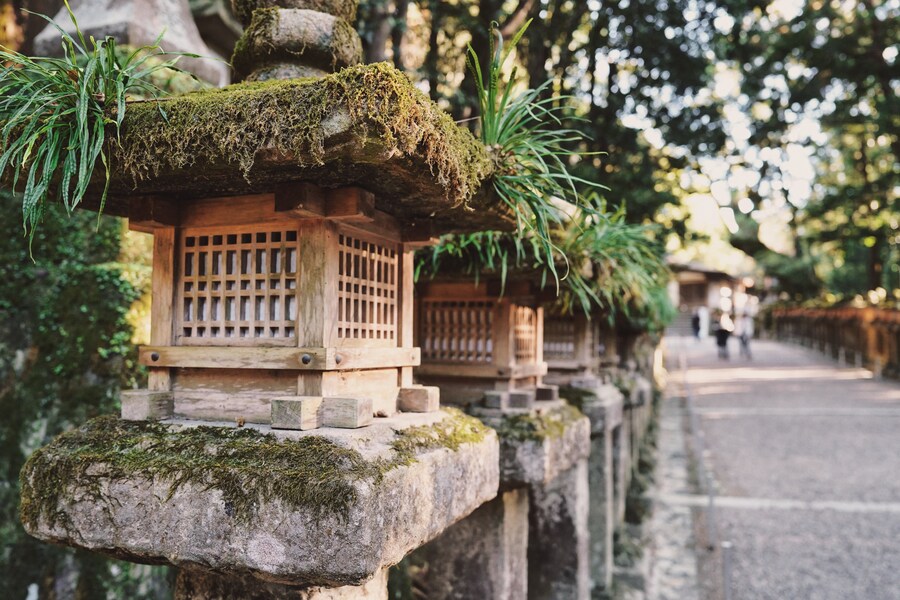 [스압초주의] " 간사이 오사카, 고베, 교토, 나라 여행 일기... "_212.jpg