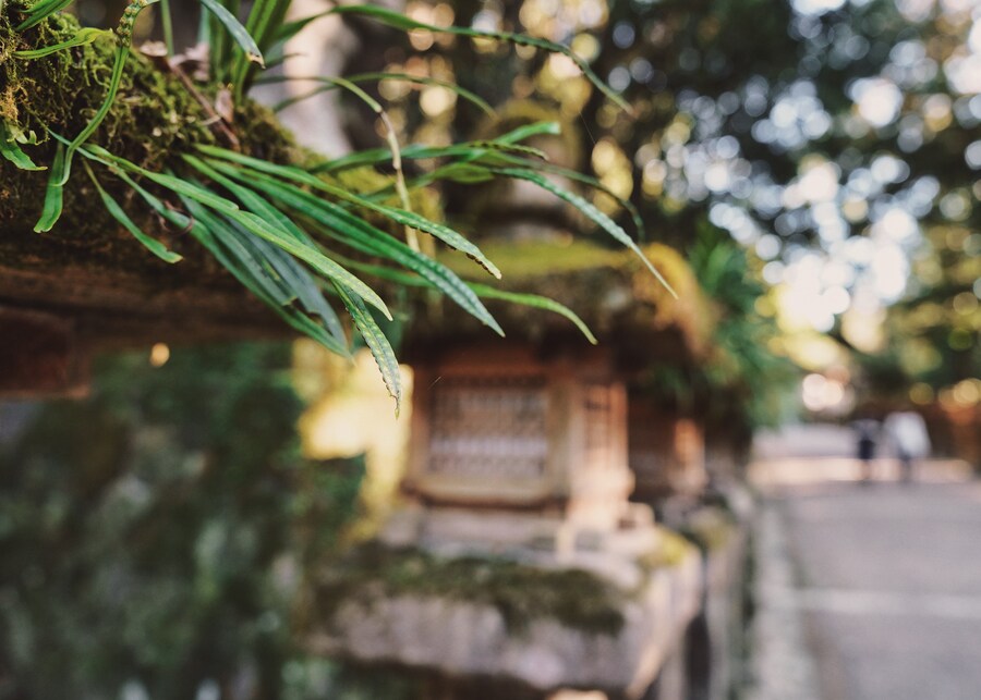 [스압초주의] " 간사이 오사카, 고베, 교토, 나라 여행 일기... "_213.jpg