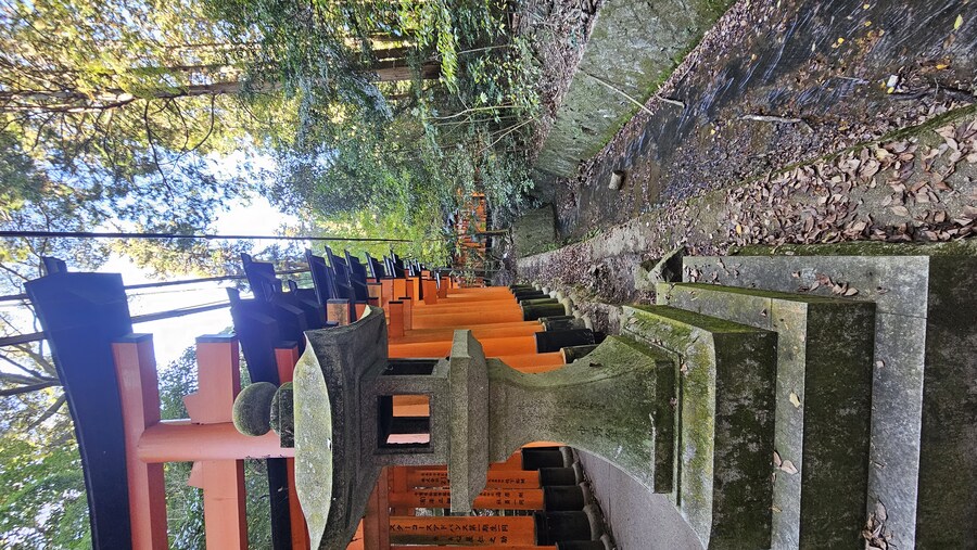 [스압초주의] " 간사이 오사카, 고베, 교토, 나라 여행 일기... "_308.jpg