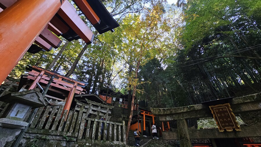 [스압초주의] " 간사이 오사카, 고베, 교토, 나라 여행 일기... "_312.jpg