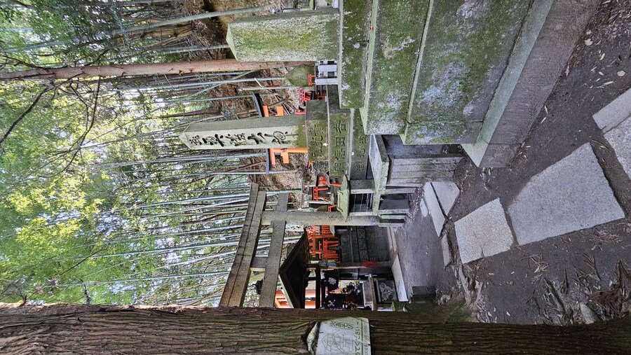 [스압초주의] " 간사이 오사카, 고베, 교토, 나라 여행 일기... "_315.jpg