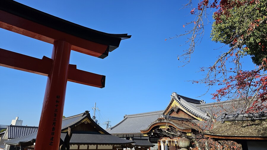 [스압초주의] " 간사이 오사카, 고베, 교토, 나라 여행 일기... "_334.jpg