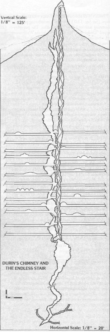 반지의제왕) 움짤) 오랜만에 다시 보는 발록 vs 간달프_1.jpg