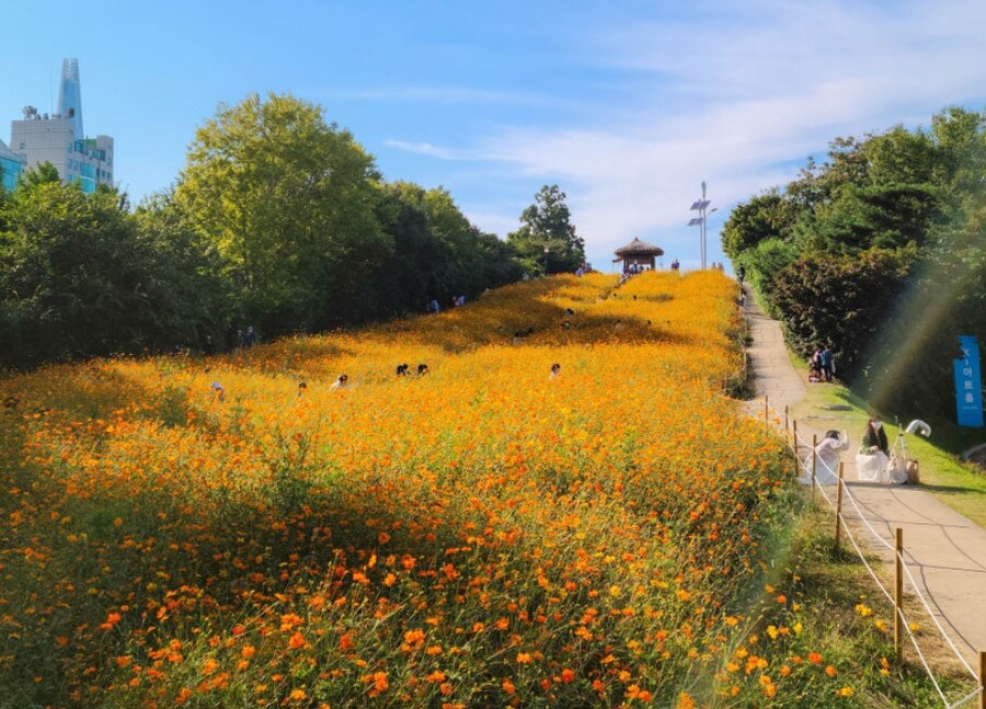 나타는 지금도 게시판에 들어와서 글 보고 그럴까..._3.png