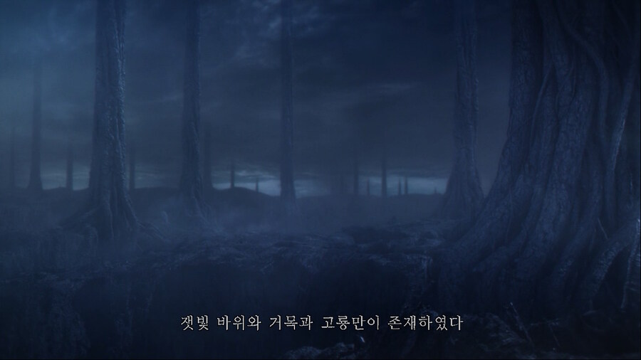 [NS]다크소울 리마스터 ( 스샷 압박)_5.jpg