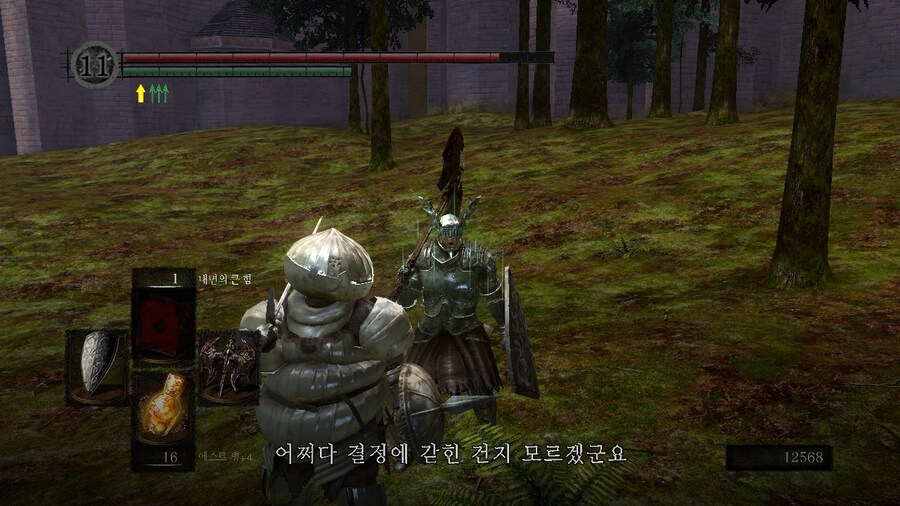 [NS]다크소울 리마스터 ( 스샷 압박)_425.jpg