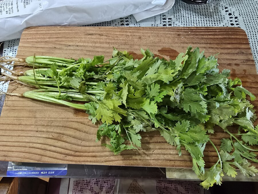 코리안 크립토나이트 수프_1.jpg