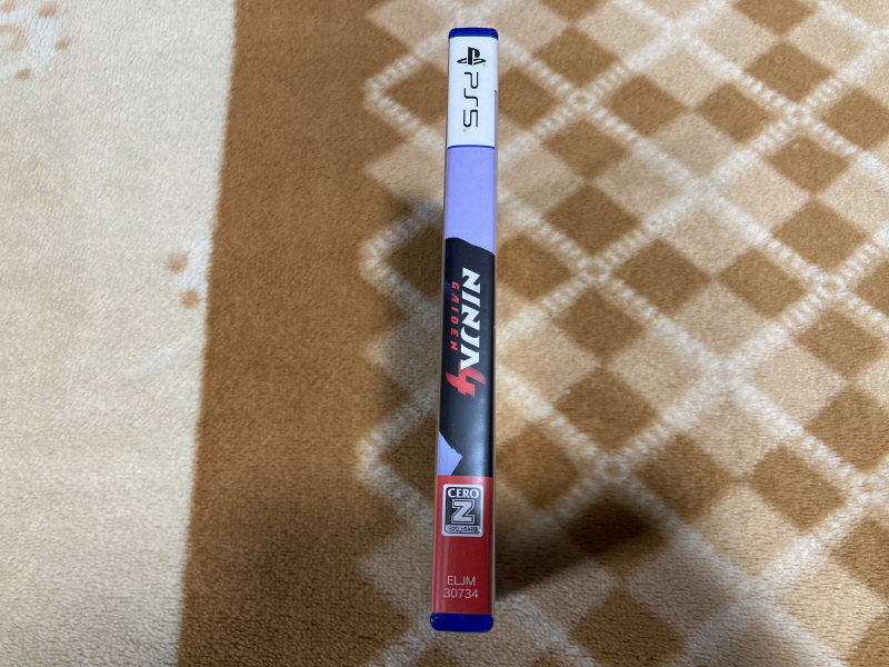 닌자 가이덴 4 (NINJA GAIDEN 4)_11.jpg