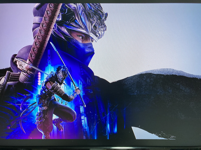 닌자 가이덴 4 (NINJA GAIDEN 4)_29.jpg