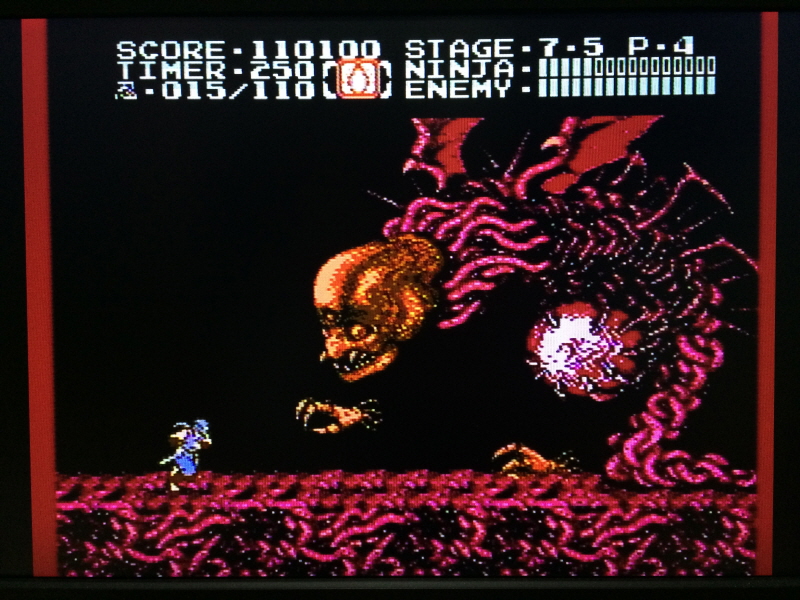 닌자 가이덴 4 (NINJA GAIDEN 4)_194.jpg