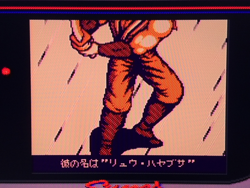 닌자 가이덴 4 (NINJA GAIDEN 4)_206.jpg