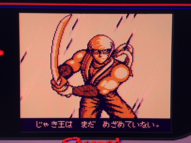 닌자 가이덴 4 (NINJA GAIDEN 4)_207.jpg