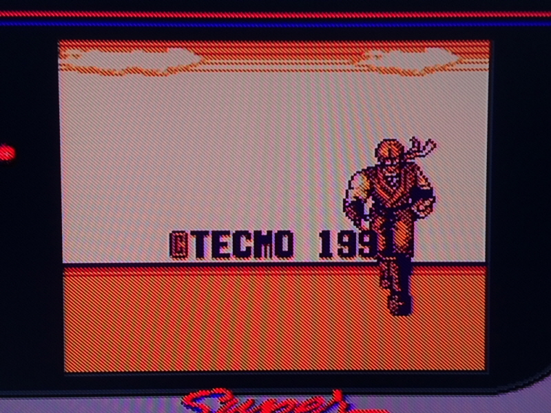 닌자 가이덴 4 (NINJA GAIDEN 4)_216.jpg