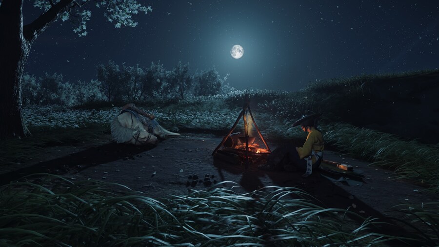 Ghost of Yōtei_11.jpg