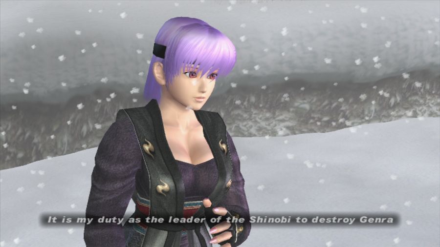 DEAD OR ALIVE 3_15.jpg