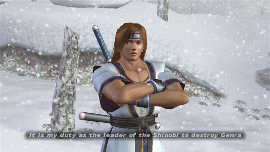DEAD OR ALIVE 3_16.jpg