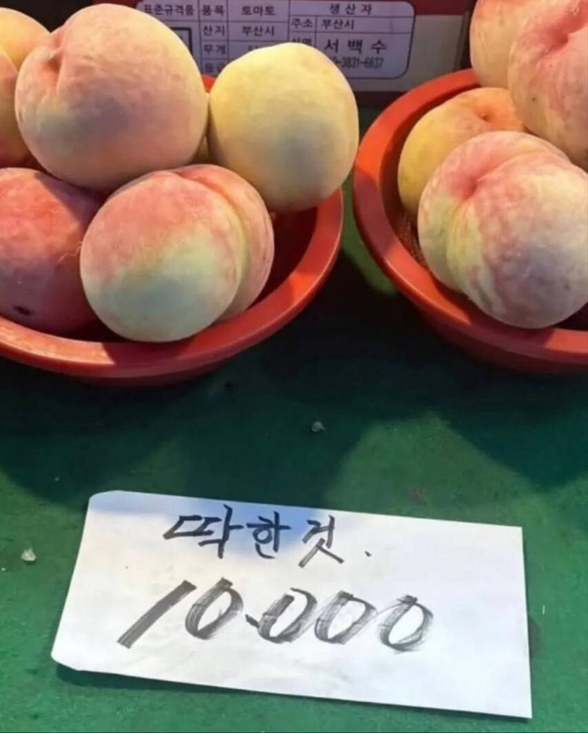 강한 자들만 살아남는 K-마켓.jpg_4.jpg