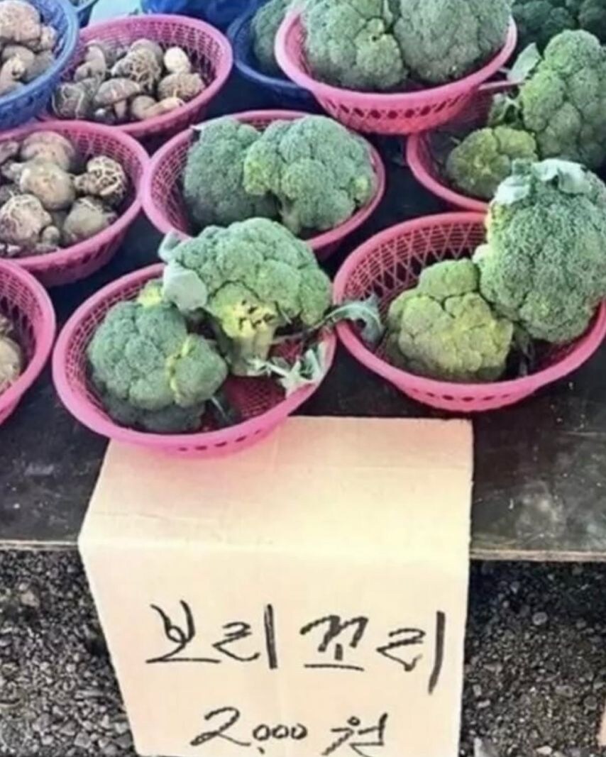 강한 자들만 살아남는 K-마켓.jpg_12.jpg