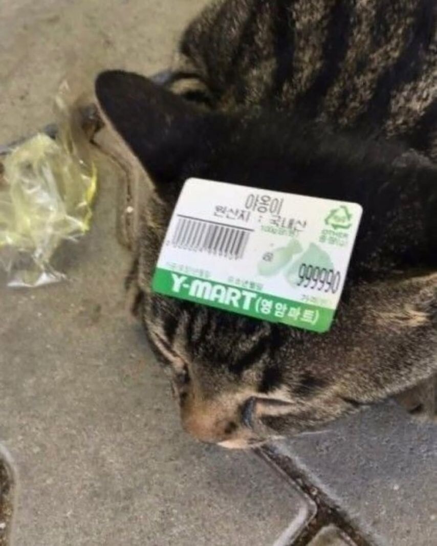 강한 자들만 살아남는 K-마켓.jpg_15.jpg