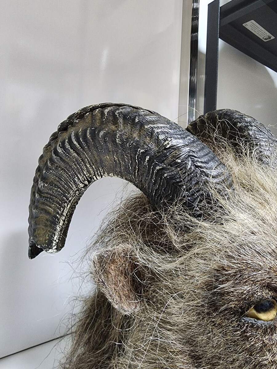 영화 제작에 실제로 사용된 소품 컬렉션_6.jpg