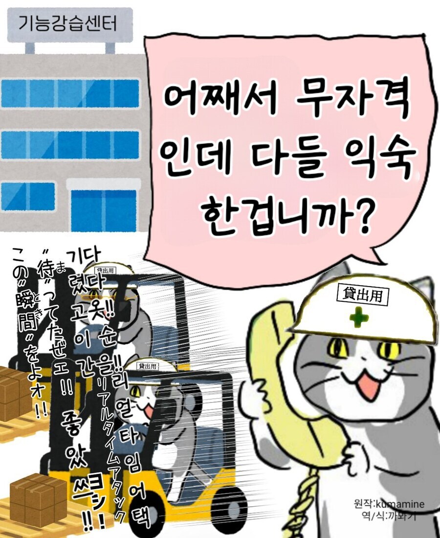 달려라 현장냥이, 지게차 좋았쓰_2.jpg