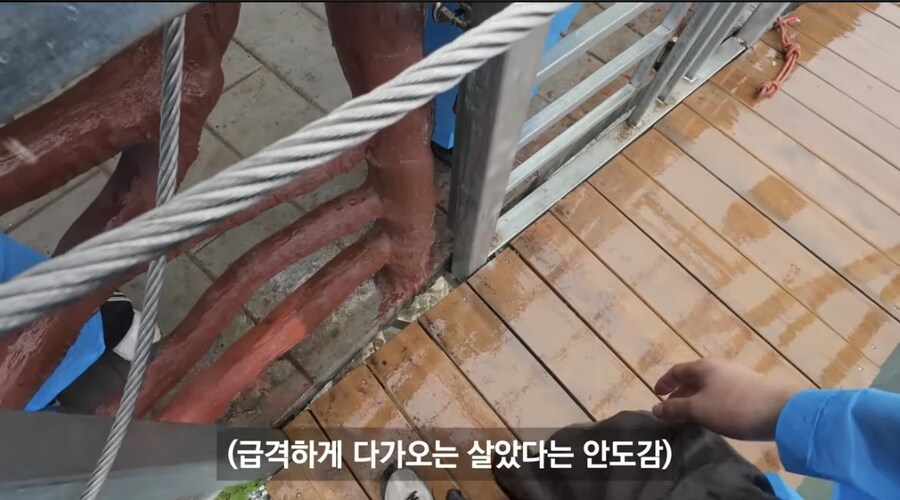 중국 장가계 1500m 하늘사다리 체험해본 유튜버_26.jpg
