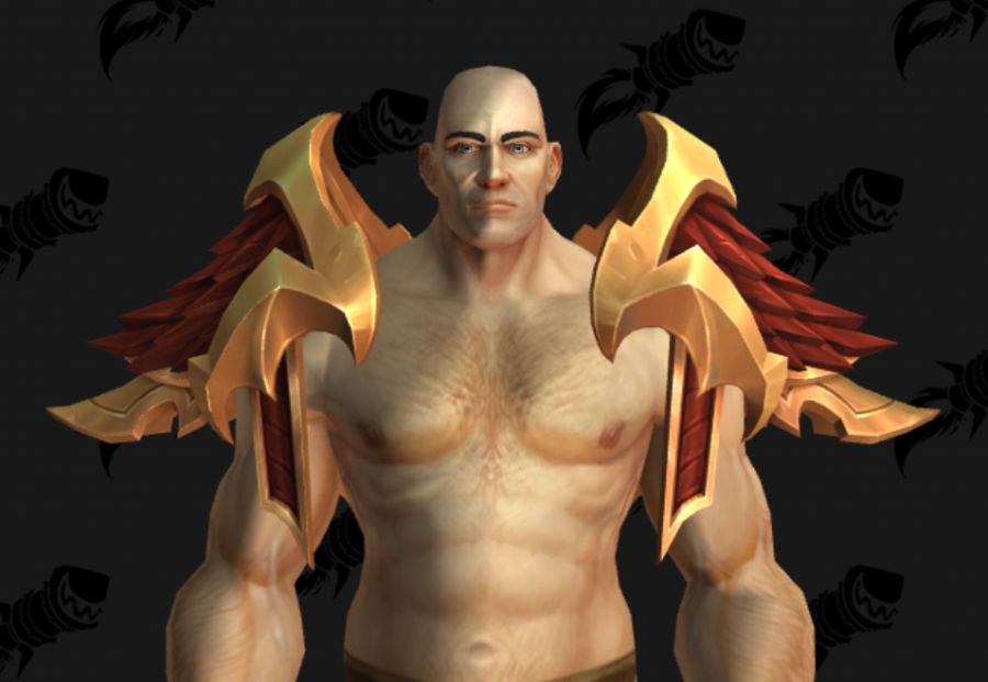 와우 신규 머리, 어깨, 휘장, 검투사 휘장 형상 등_5.png