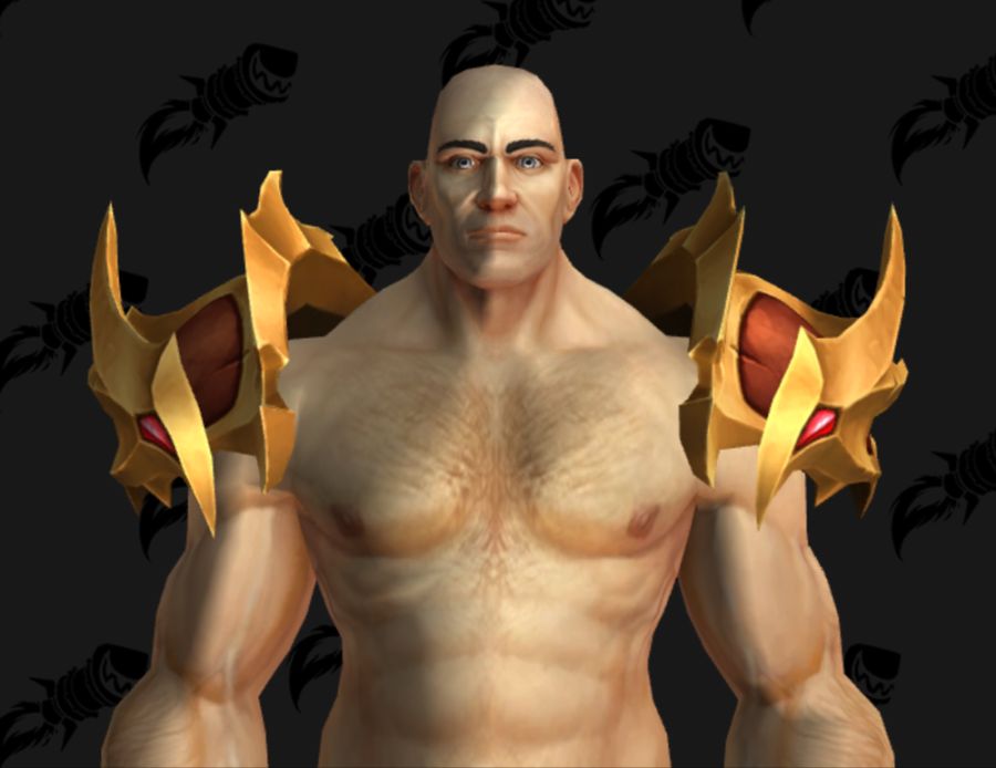 와우 신규 머리, 어깨, 휘장, 검투사 휘장 형상 등_6.png