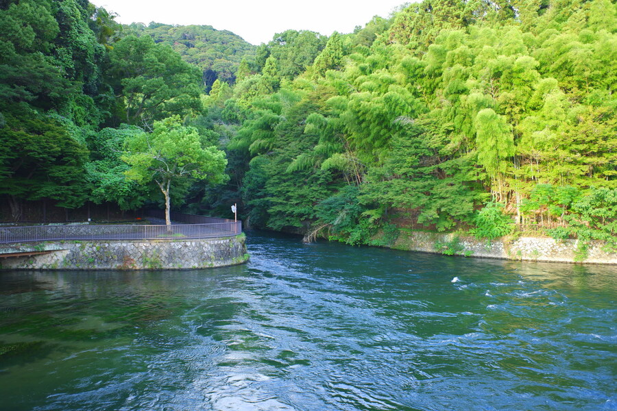 교토 너머, 근교 여행 3부(초스압) - 우지, 교토_29.jpg