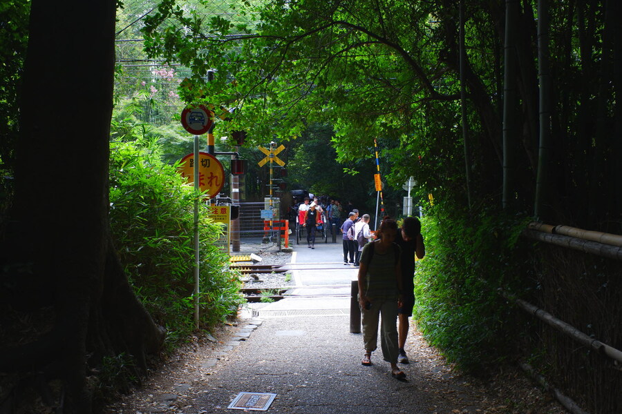 교토 너머, 근교 여행 3부(초스압) - 우지, 교토_86.jpg