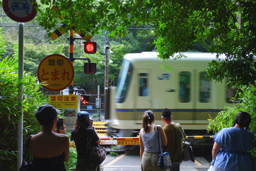 교토 너머, 근교 여행 3부(초스압) - 우지, 교토_87.jpg