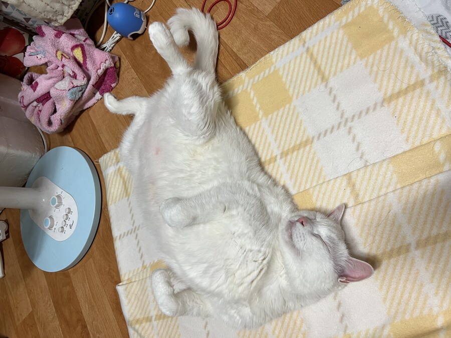 베스트에서 만화 장면 보니까 생각난건데_4.jpg
