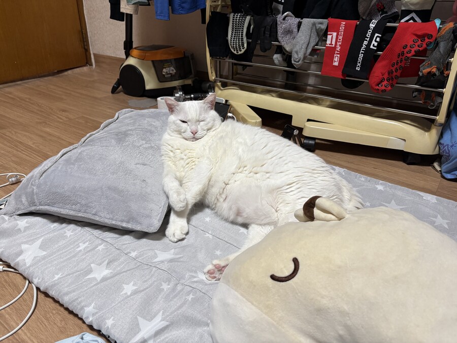 베스트에서 만화 장면 보니까 생각난건데_6.jpg